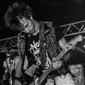 Click to enlarge GutterPunk - Professional Concert Photography